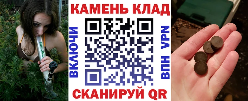 ГАШ Premium MEGA вход Спас-Клепики