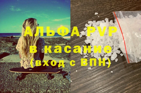 стаф Надым