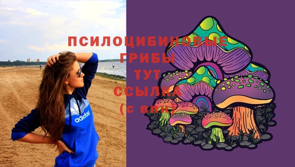 мяу мяу мука Балабаново