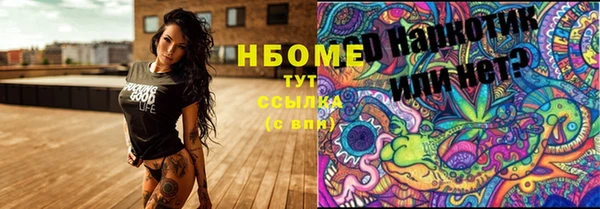 стафф Баксан